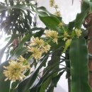 목포미래병원 이미지