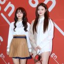 주은콜렉션 이미지