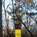 상월초교 이미지