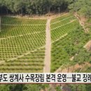 쌍계사수목장림 BBS