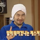 명품고양이카페 이미지