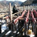 대관령황태이야기 이미지