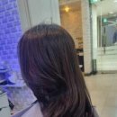 준호프로헤어 이미지