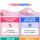 굿모닝 동물병원 이미지