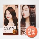 다나한헤어 이미지