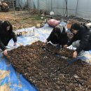 구면농장 이미지