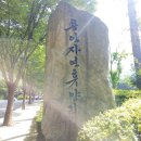 모현읍 다목적구장 | 용인자연휴양림의 엄청난 놀거리들 _ 잔디광장, 계곡, 숲놀이터, 패러글라이딩, 짚라인