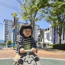 이리어린이집 놀이터 이미지