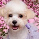 파비에스튜디오 이미지