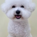 쓰다드멍 이미지