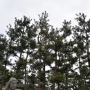 흑염소목장 이미지