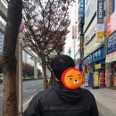 픽미뽑기 이미지