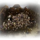 태양의 해변 이미지