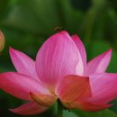 (주)덕진 이미지