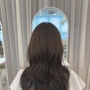 더 호프 이미지