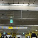 세명자동차써비스 | 가락시장 방어 맛집 추천 내돈내산으로 포장한 후기(인어교주해적단 &amp; 온누리 이용 꿀팁)