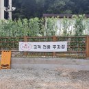 백옥대로753번길 | [용인 처인구 천리다방] 레트로 갬성에 바스크치즈케이크가 맛난 카페