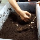 현창농장 이미지