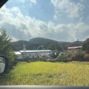 북충주농업협동조합 | [충주/캠핑장] 하너미캠핑장🍂 도토리 굴러다니는 가을 감성 캠핑 후기⛺