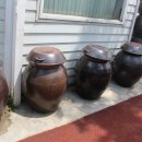 마당기픈집 이미지