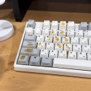 25년 9월