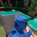 신디농장 | 치앙마이 여행기(하)