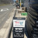 조지아팜 | [생블루베리 체험 후기] 아빠랑 블루베리 데이트