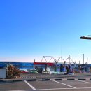 가진활어회센터 | 속초 장사항 당일치기｜장사항요트투어·활어회센터·배낚시체험까지 한 번에 정리