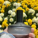 제레미20강남고속 | 리셉터 메신저 _ NECTAR; 달콤함을 탐하는 용기에 대하여