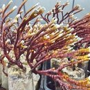 현숙농장 이미지