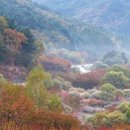 비밀의정원 이미지
