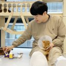 설렘고양이카페 이미지