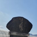 양지약국 | 초보산꾼 발길 닿는 곳 : 칠성면읍(괴산군) 답사.. 김항묵 고택槐山 金恒默 古宅과 청인약방