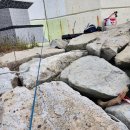 대본1리 이미지