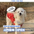펫코스(Pet-cose) | [펫앤모어 부산 반려동물 박람회] 7월 10일 11일 12일 벡스코 행사ㅣ이벤트, 여름아이템, 고양이 아이템...