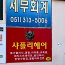 샤플리헤어컬러 | 부산 괘법동 미용실 울엄마 흰머리염색 대성공 후기 :: 샤플리헤어샵