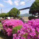 길안천 돌담집 이미지