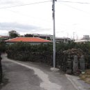 효돈동-5 이미지