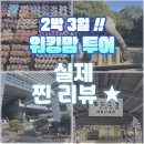 나의 행복을 위한 가족세우기 | 아이와 함께하는 부관훼리 2박3일 워킹맘투어 실제 투어 후기