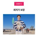 아이코닉몰 이미지