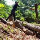 금정농장 이미지