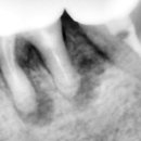 참조은치과의원 이미지