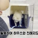 멍스하우스 이미지