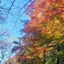 불국사~ 이미지