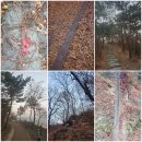 가랑