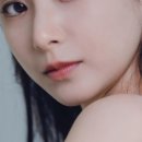 매니지먼트 은유 이미지