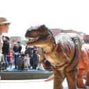 함께마켓 이미지