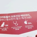 노마셀 이미지