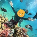 여행하기 좋은 날 이미지