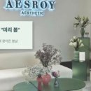 에스에스테틱 이미지